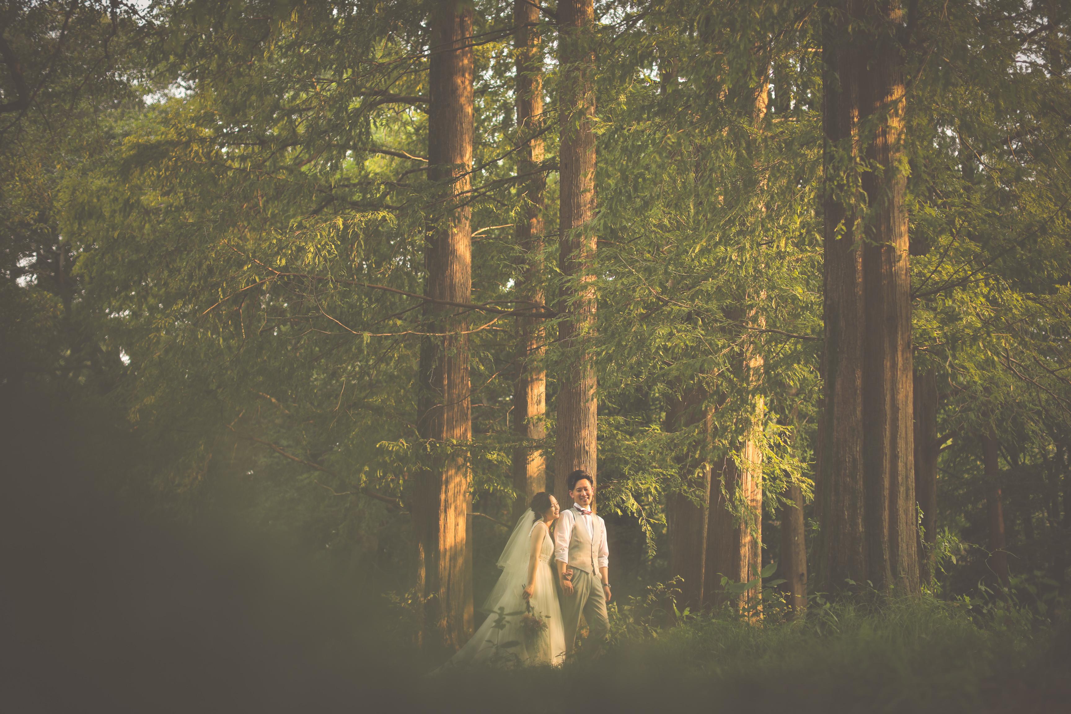 🌳 아키가세 공원 이미지 8